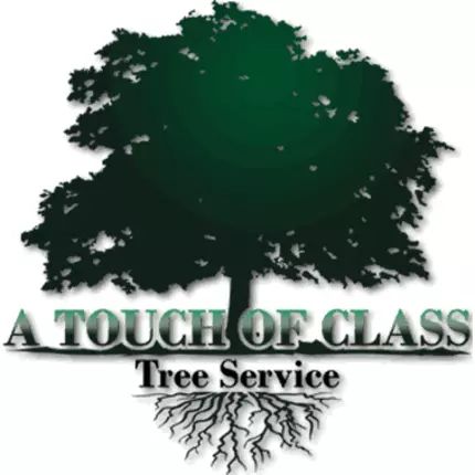 Logo de A Touch of Class Tree Service