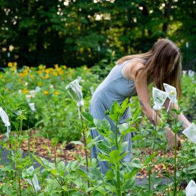 Bild von Kate’s Flower Farm