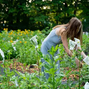 Bild von Kate’s Flower Farm