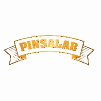 Logo from Pinsalab Gluten Free