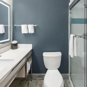 Guest room bath