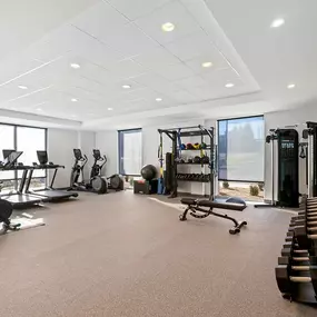 Health club  fitness center  gym