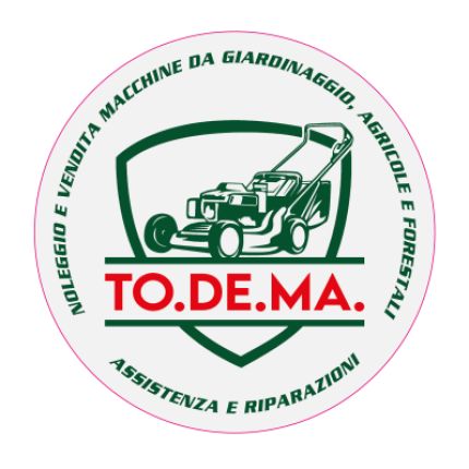 Logo da Todema