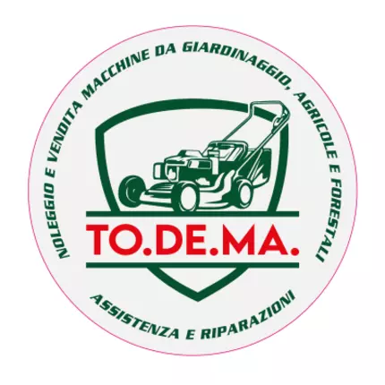 Logo from Todema