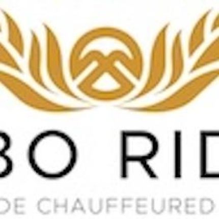 Logo from Nebo Rides Transportation