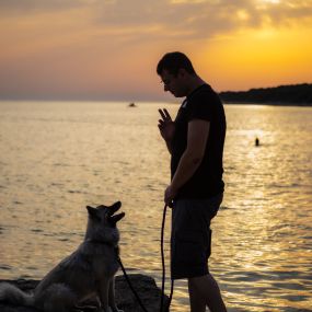 Hundetraining nach Maß Trumau