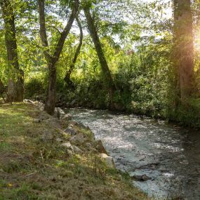 Bild von Creekside Cottages