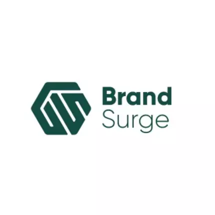 Logotyp från Brand Surge LLC