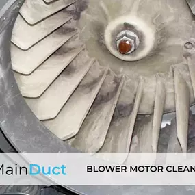 Blower Motor Cleaning Brooklyn