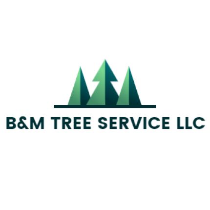 Logotyp från B&M Tree Service