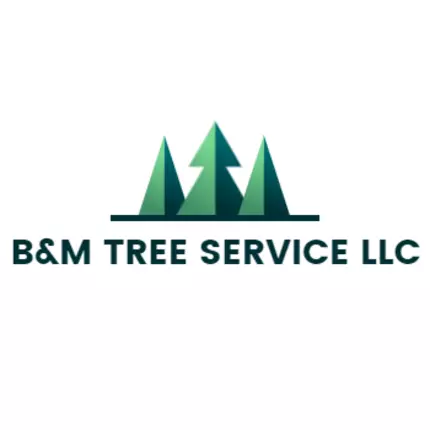 Logo da B&M Tree Service