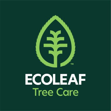 Logo da Ecoleaf Tree Care