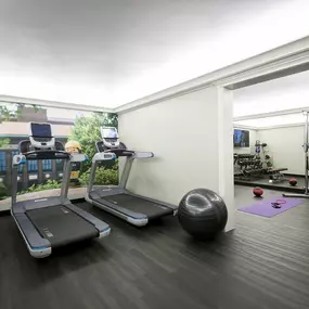 Health club  fitness center  gym