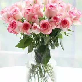 Bild von Flores como soles