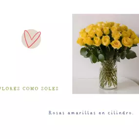 Bild von Flores como soles