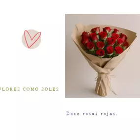 Bild von Flores como soles
