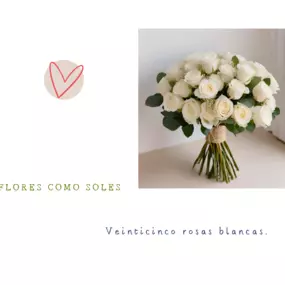Bild von Flores como soles