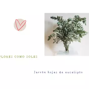 Bild von Flores como soles