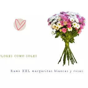 Bild von Flores como soles