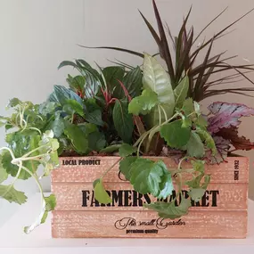 Bild von Flores como soles