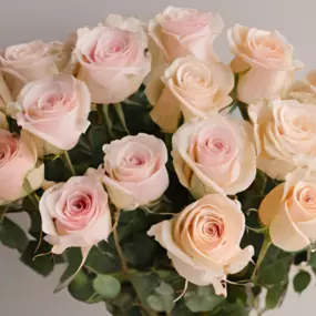 Bild von Flores como soles