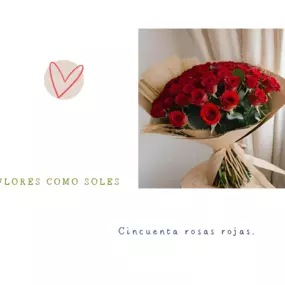 Bild von Flores como soles