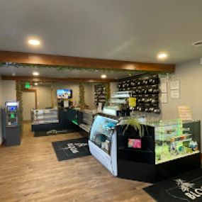 Bloom Weed Dispensary Hamilton