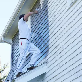 Grosse Pointe MI Residential Painter - New Day Construction Services