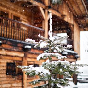 Bild von Alpaga, Megève, a Beaumier hotel