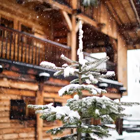 Bild von L'Alpaga, Megève, a Beaumier Hotel