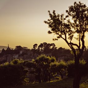 Bild von Capelongue, Bonnieux, a Beaumier Hotel & Spa