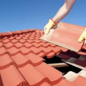 Bild von Total Roofing Services