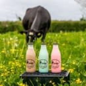 Bild von Stokehouse Farm Dairy