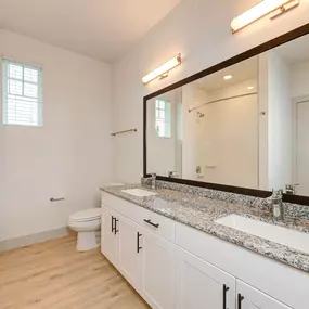 a bathroom with a sink and a mirror and a toilet