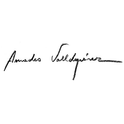 Logo van Amadeo Valldepérez Estudio de Retrato y Pintura