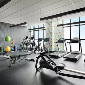 Health club  fitness center  gym