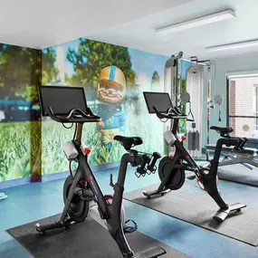 Health club  fitness center  gym