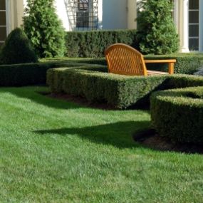 Maintain the beauty of your outdoor spaces with landscape maintenance services from Mighty Oak Landscaping Inc. Our skilled team handles all aspects of landscape upkeep, ensuring your property remains attractive and well-cared-for. Depend on us for comprehensive and professional landscape maintenance.