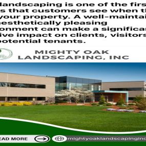 Maintain the beauty of your outdoor spaces with landscape maintenance services from Mighty Oak Landscaping Inc. Our skilled team handles all aspects of landscape upkeep, ensuring your property remains attractive and well-cared-for. Depend on us for comprehensive and professional landscape maintenance.