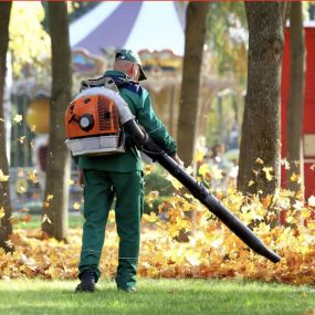 Mighty Oak Landscaping Inc. offers comprehensive lawn care services to keep your yard looking its best. Our skilled team ensures your lawn is healthy, vibrant, and well-maintained throughout the year. Trust us for all your lawn care needs and enjoy a beautiful, lush landscape.