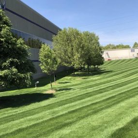 Ensure your business property makes a great impression with commercial lawn care services from Mighty Oak Landscaping Inc. We offer tailored solutions to maintain the appearance and health of your commercial grounds. Depend on us for professional and efficient commercial lawn care.