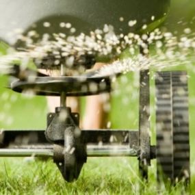 Mighty Oak Landscaping Inc. offers professional seeding services to promote lush and vibrant grass growth. Our team ensures your lawn receives the best start possible, resulting in a thick and healthy turf. Rely on us for effective seeding that transforms your yard.