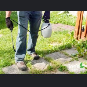 Mighty Oak Landscaping Inc. offers reliable lawn maintenance services to keep your yard in pristine condition. Our dedicated team ensures your lawn remains healthy, green, and well-groomed throughout the year. Trust us for consistent and thorough lawn maintenance that enhances your outdoor space.