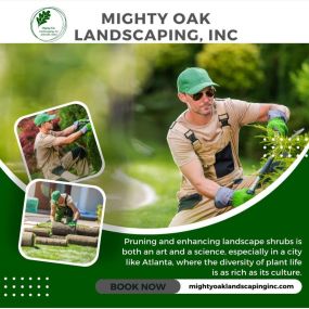 Mighty Oak Landscaping Inc. provides expert home lawn care services tailored to meet the needs of your residential property. Our experienced professionals take care of every detail, ensuring your lawn looks its best. Choose us for dependable and personalized home lawn care solutions.