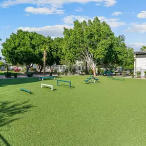 A pet-friendly dog park at Sono Tempe Apartments offers a secure area for residents’ dogs to play and socialize.