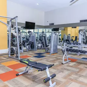 A well-equipped fitness gym at Sono Tempe Apartments designed for resident workouts and wellness.