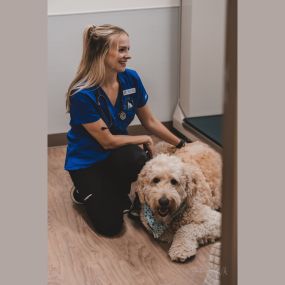 Smiles after an exam for a sweet puppy patient.