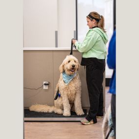 Weight check for this puppy patient!