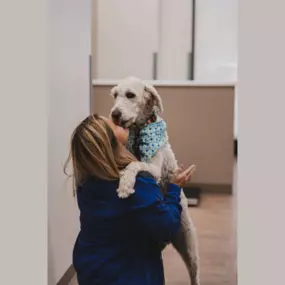 Smiles after an exam for a sweet puppy patient.