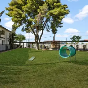 The dog park at Sentry Tempe Apartments provides a secure, off-leash area for pets to play and socialize.
